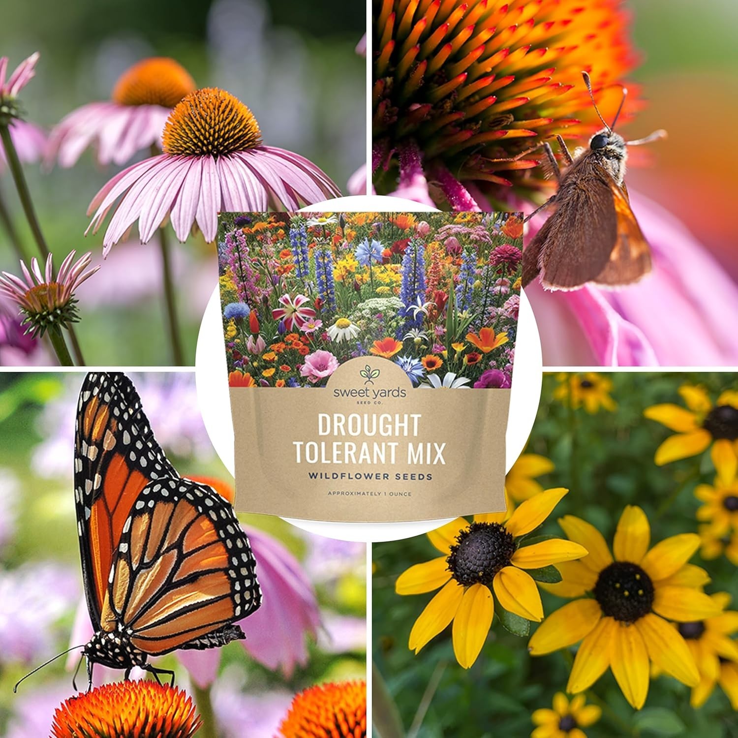 Extra Large Wildflower Seed Mix – Over 21 Species for Colorful Sustainability