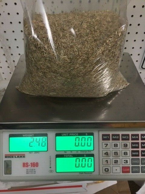 1 lb Perennial Rye Grass Seed Shade Tolerant Lawn Turf Fairway and Pasture