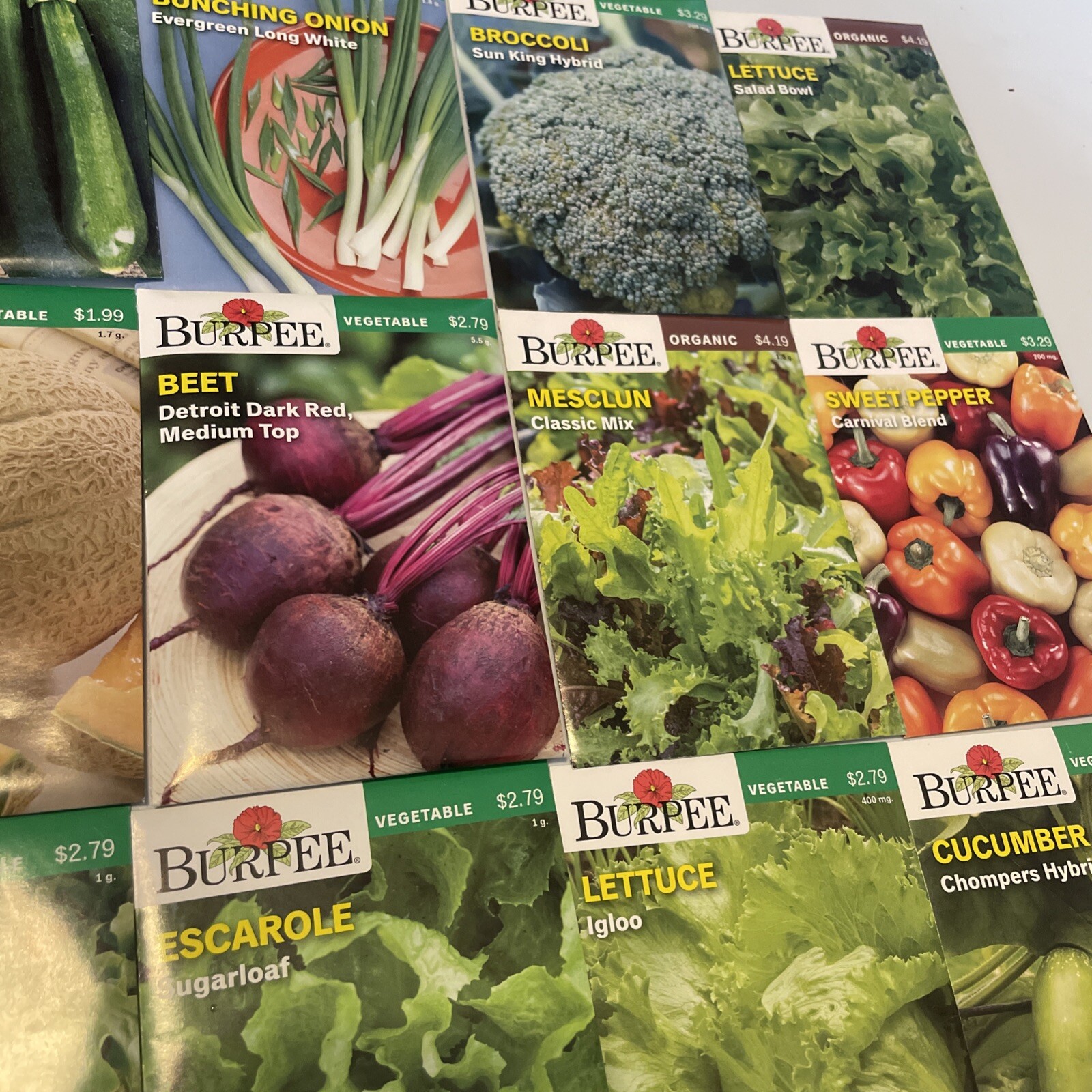 Burpee Garden Seeds Lot of 22 Packs – Vegetable & Herbs Dated 2021