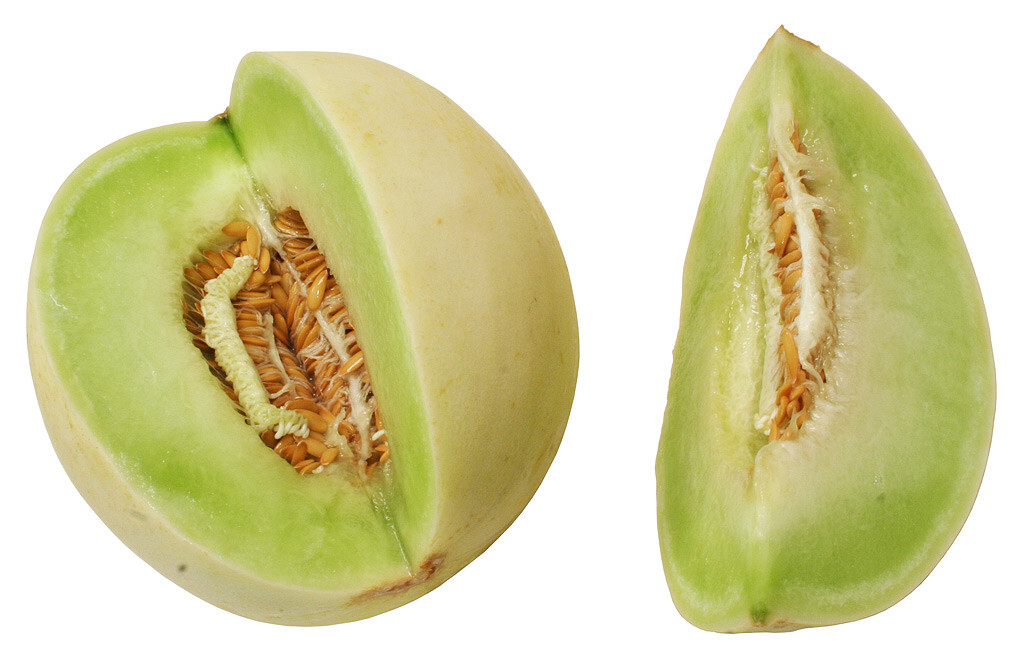 Melon Honey Dew Green Flesh Heirloom Vegetable by Seed Kingdom (5 Lb Seeds)