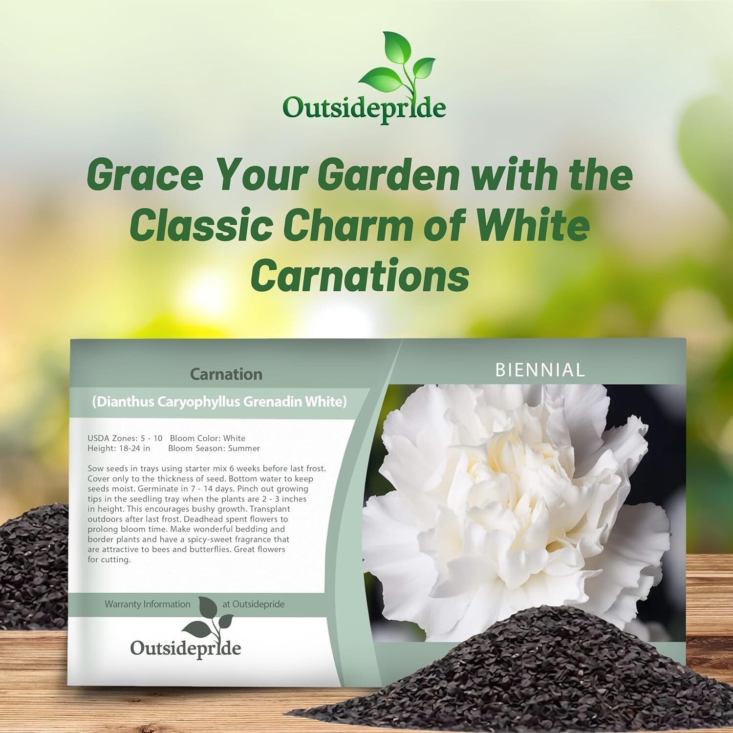GMO-Free White Carnation Seeds – Easy to Grow, Attracts Pollinators, 1000 Pcs