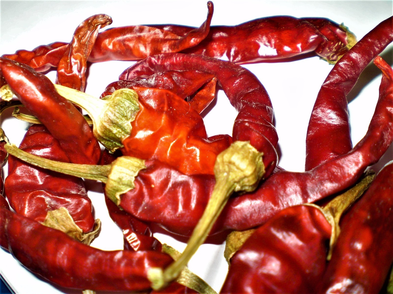 Corno Di Capra chili pepper seeds non-gmo open pollinated GREAT FRYER STUFFER