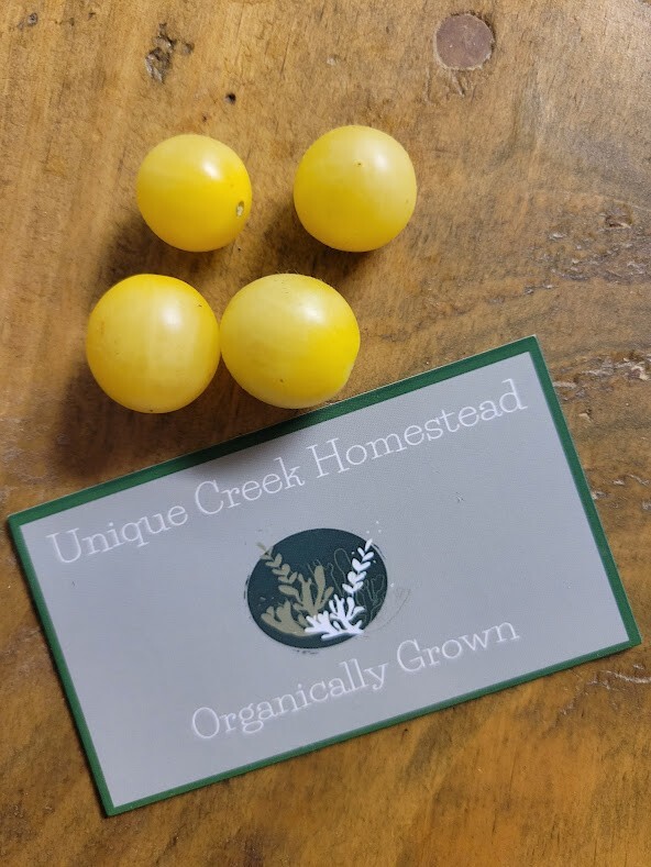 SNOW WHITE TOMATO Seeds Organically Grown Unique Creek Homestead Certified