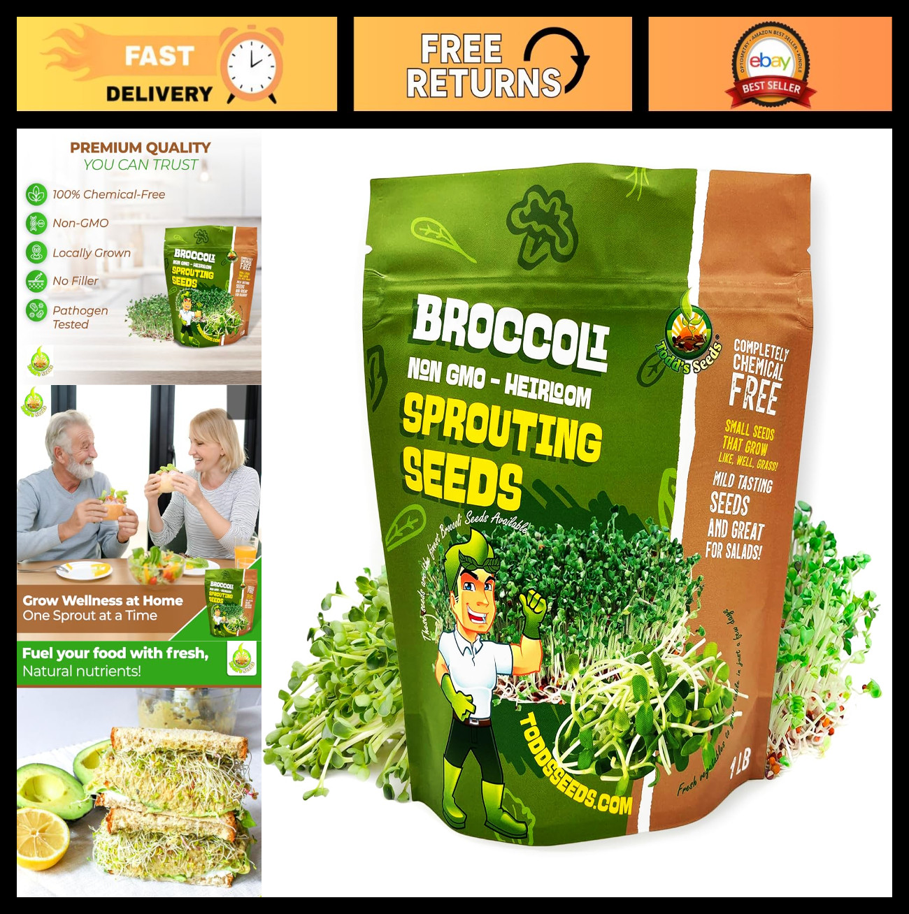 Calabrese Broccoli Sprouting Seeds 1 lb – Non-GMO, Heirloom, High Sulforaphane,