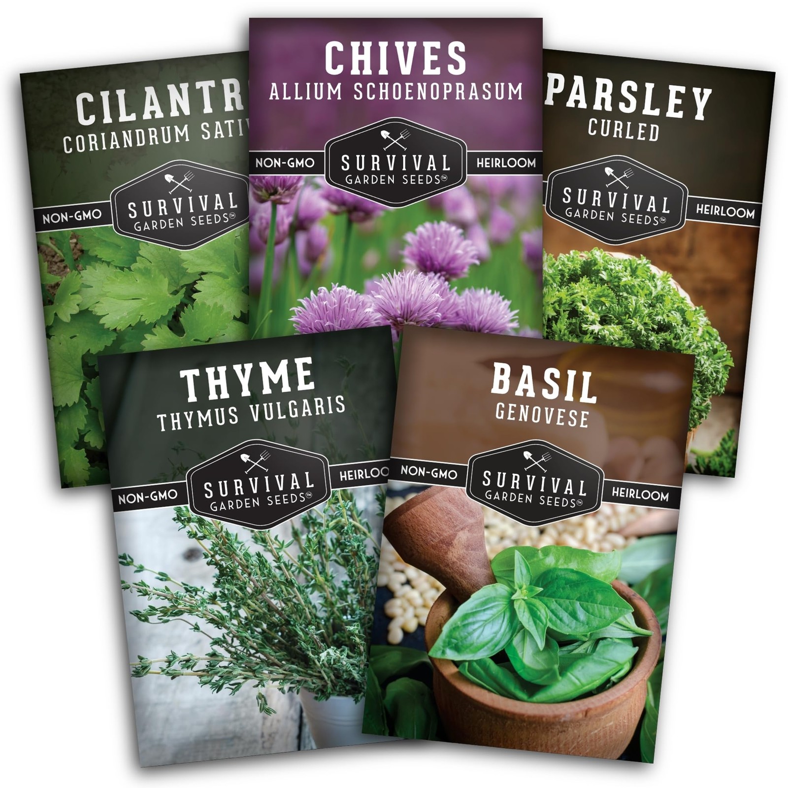 Kitchen Herb Seeds Variety Pack – 5 Heirloom Non-GMO: Basil, Cilantro, Chives