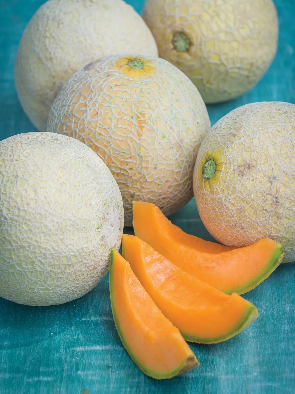 50 RARE Organic Sugar Kiss Melon Seeds Sweetest Tasted Cantaloupe Honey Juicy