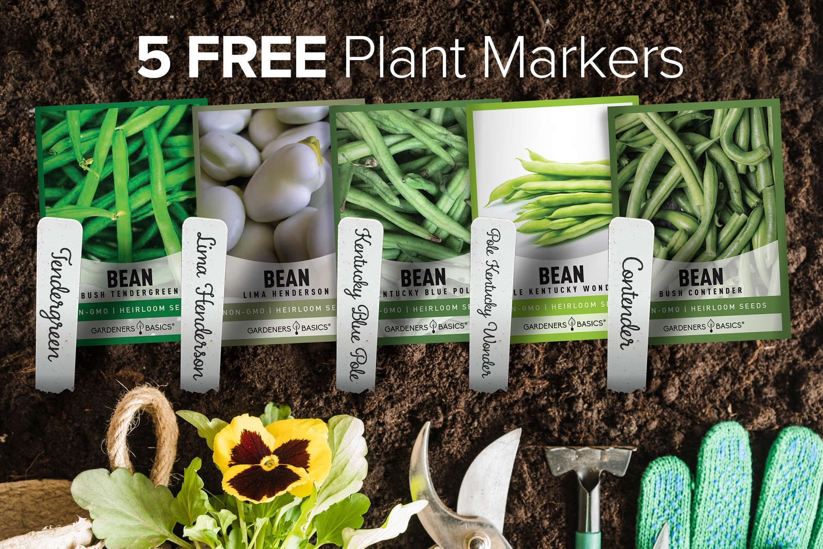 Bean Seeds For Planting | 5 Variety Pack