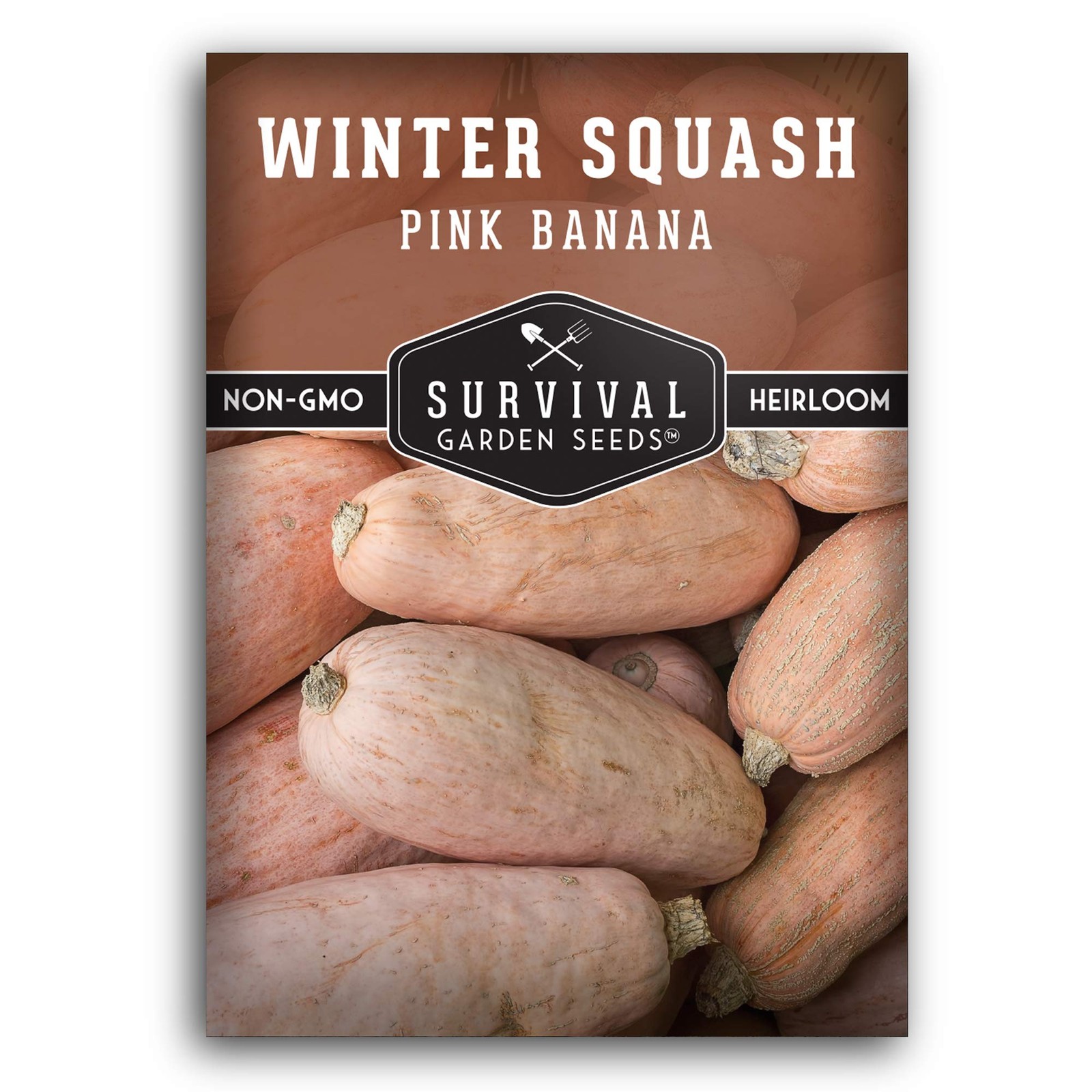 Pink Banana Winter Squash Seeds – Extra Large, Non-GMO, High Yield – Ideal