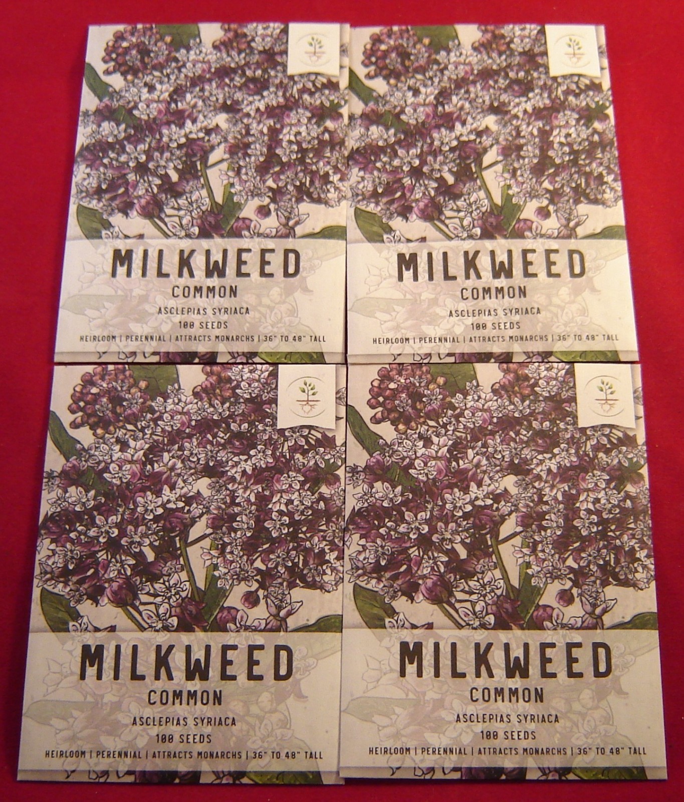 400 Common Milkweed Seeds (4 Pkg of 100) Great for Monarchs FR1