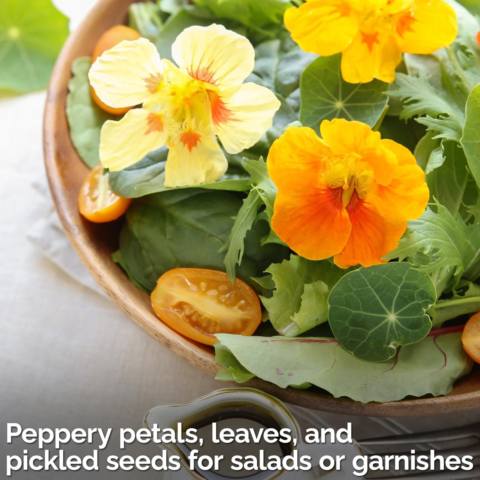 KVITER 150 Mix Jewel Nasturtium Seeds (Tropaeolum Nanum), 2 Pack