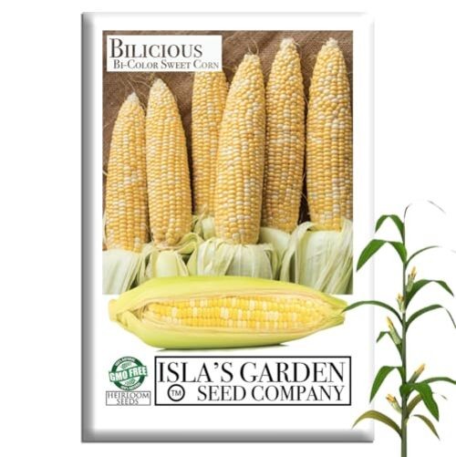 Bilicious Bi-Color Sweet Corn Seeds (Zea mays) – 50+ Non-GMO & Heirloom Seeds
