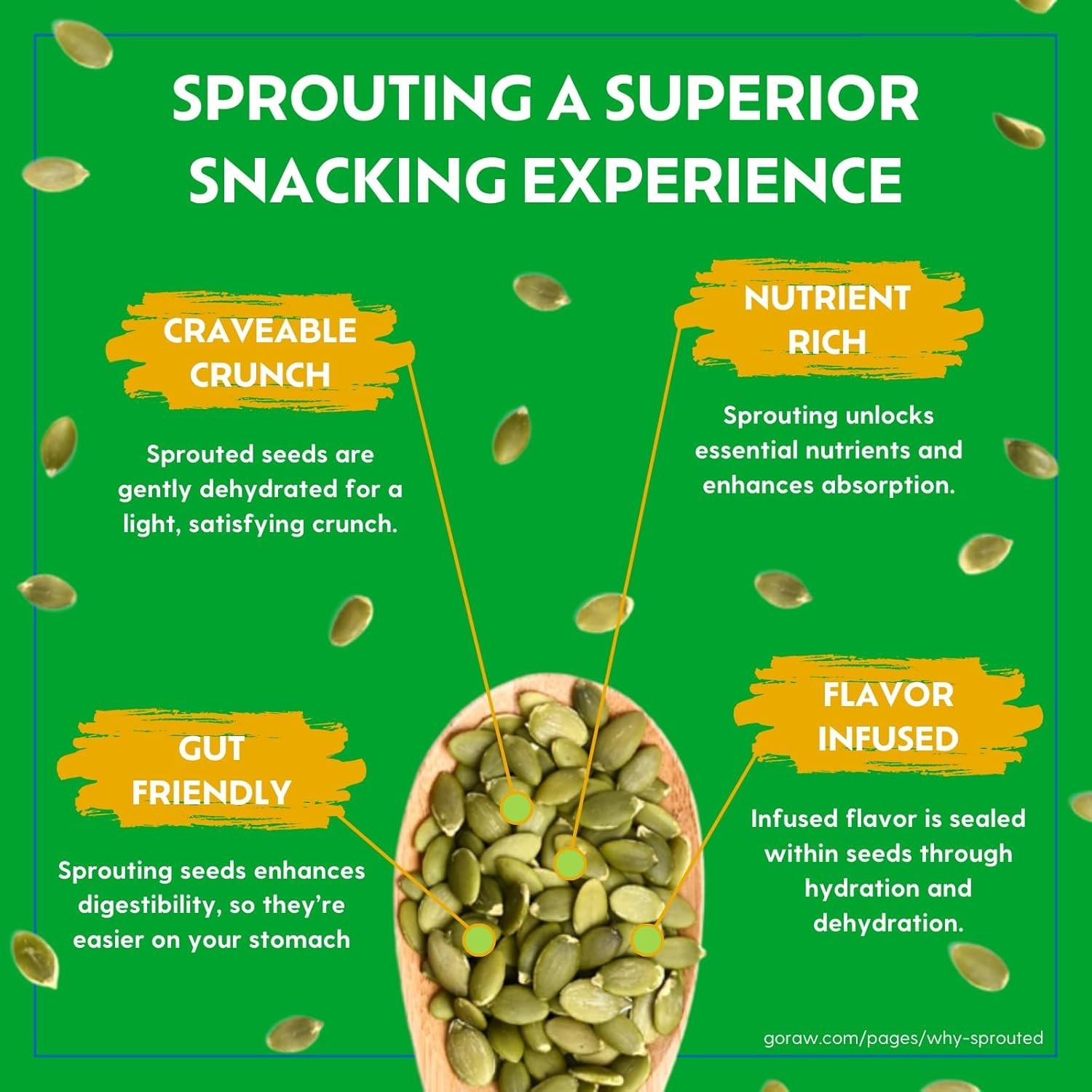 Keto-Friendly Organic Sprouted Mixed Seeds, 13oz – Energy Boosting Superfood