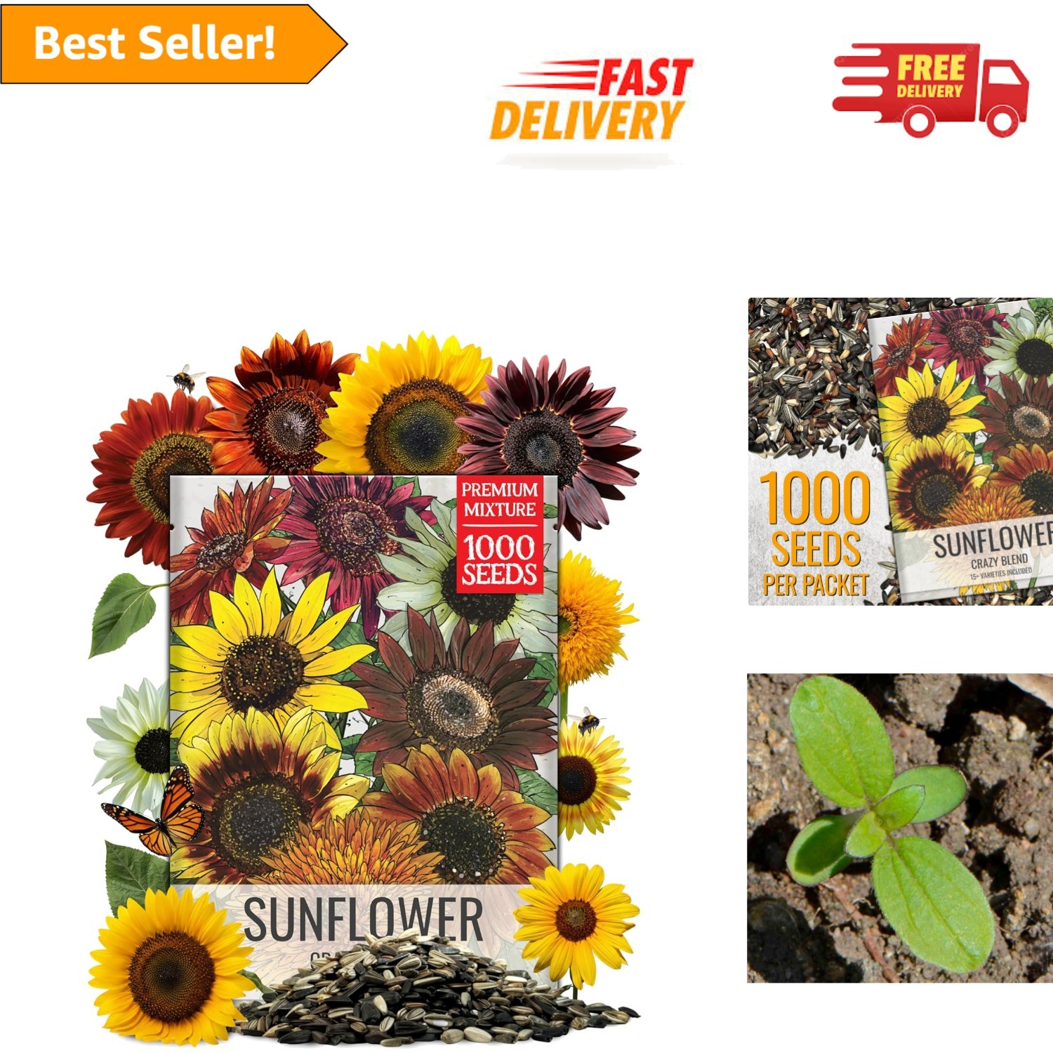 GMO-Free Crazy Sunflower Seeds | Vibrant 15+ Colorful Varieties | 1oz Bulk Pack