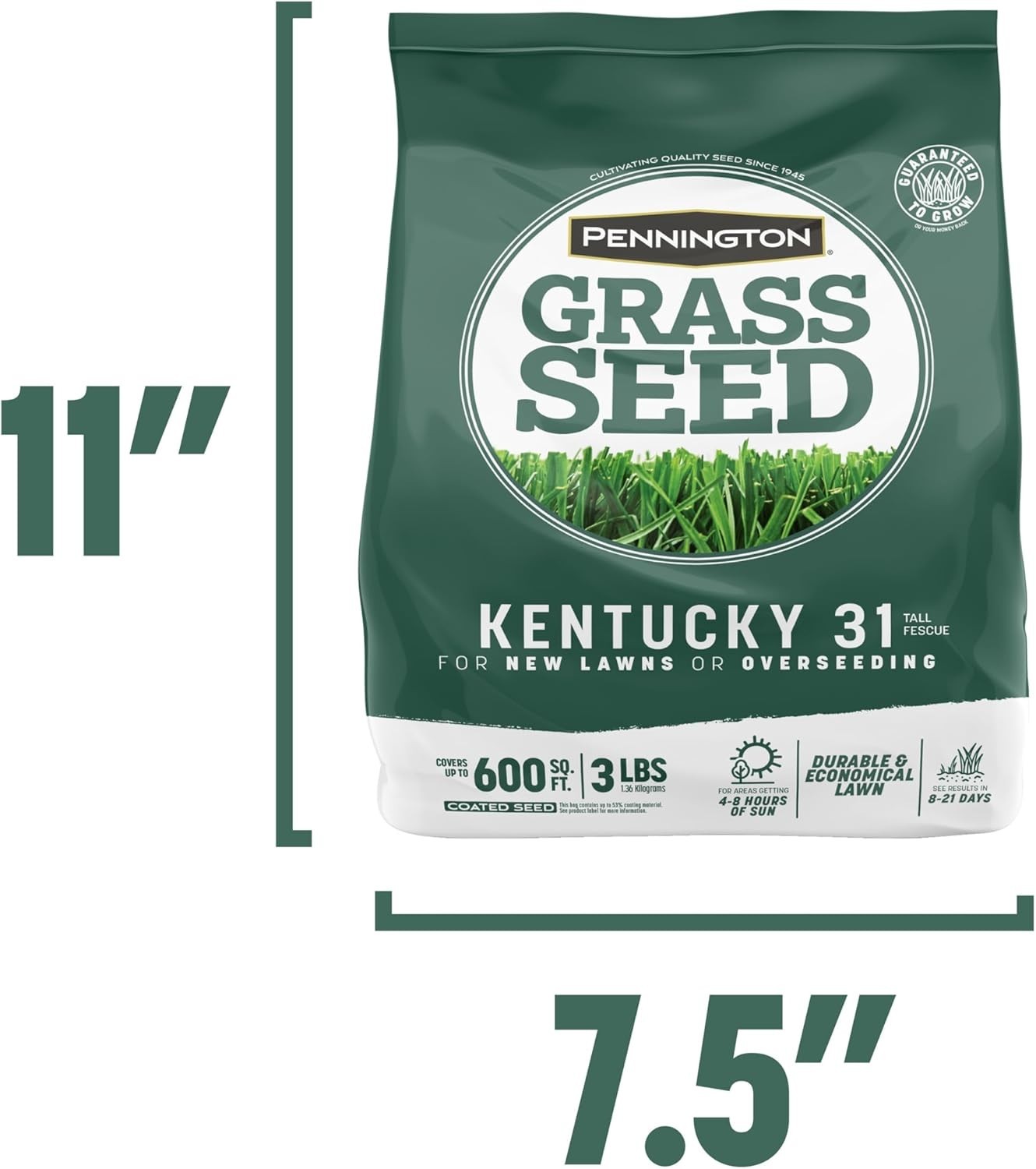 Penkoted Kentucky 31 Tall Fescue Grass Seed – 3 lb for Drought Resistance