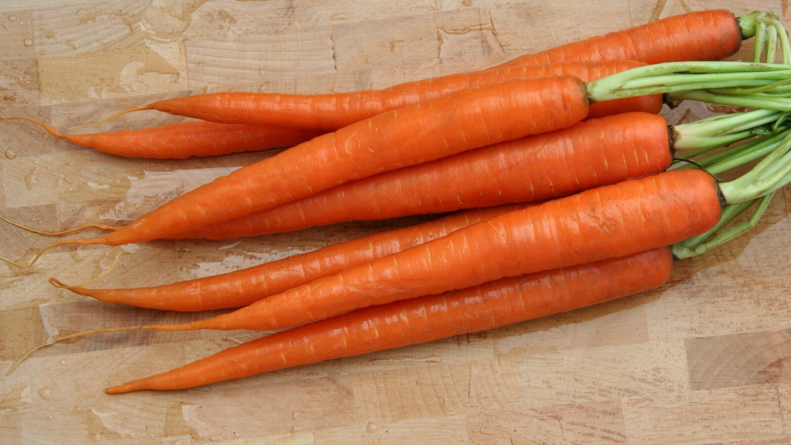 3,000 Carrot Seeds – Tendersweet Carrot – Non-GMO Heirloom Seeds – Sweet 7″