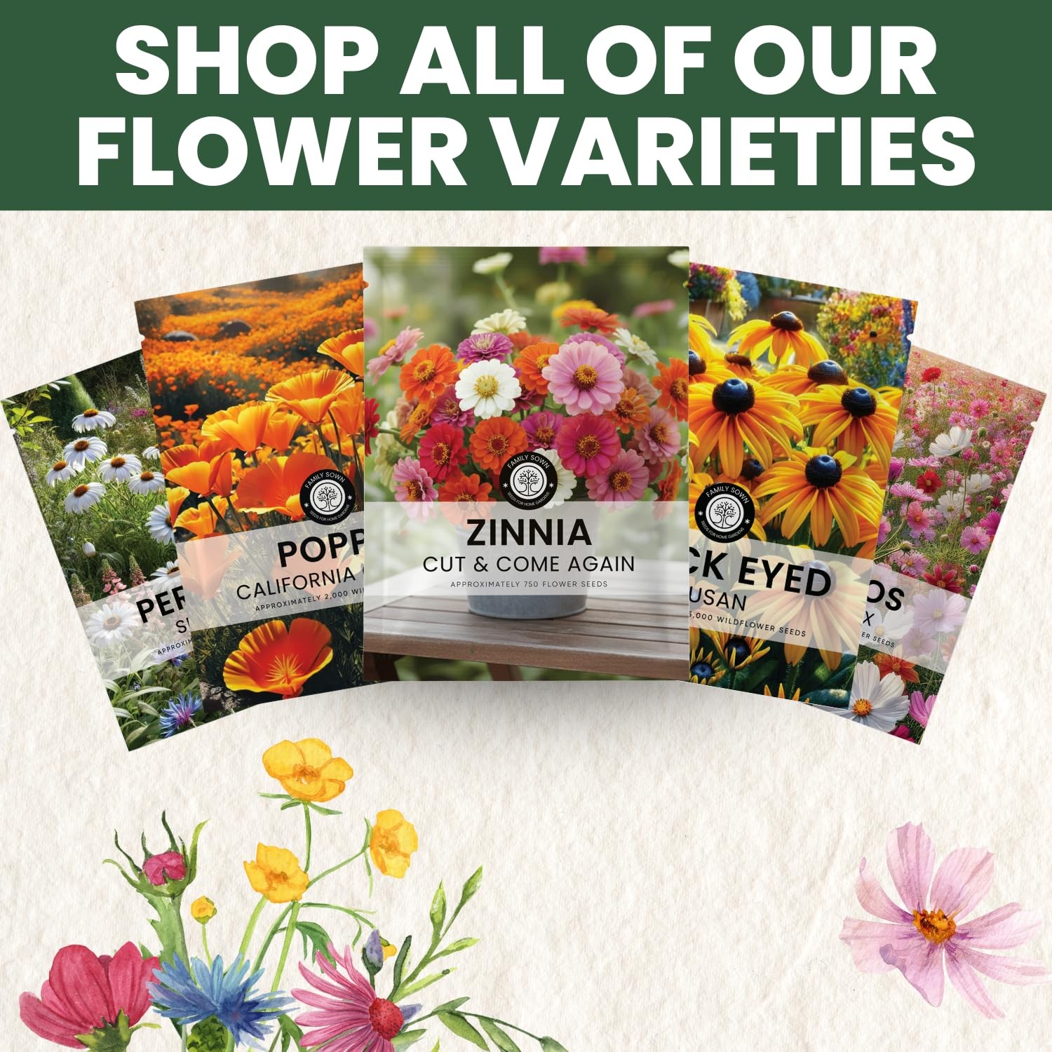 Zinnia Seeds for Planting – 16,000 Count – 4 Ounce Pouch for Gardens