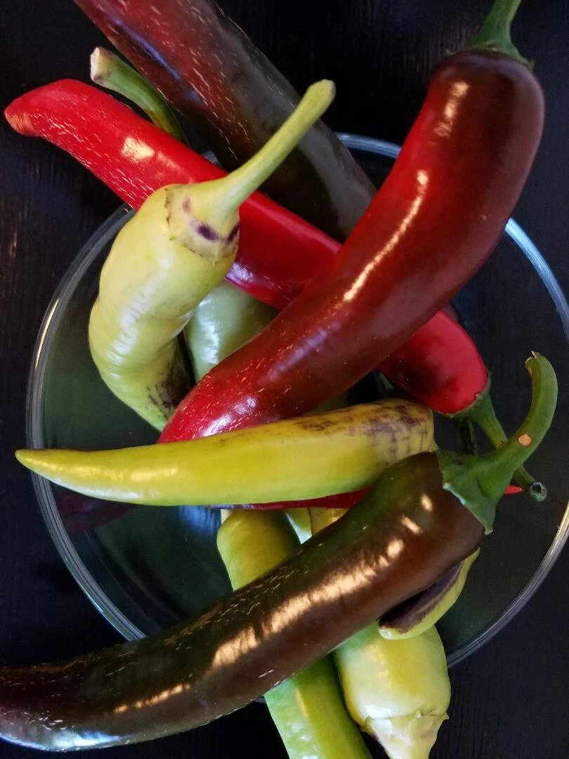 Garden Salsa Chili Pepper Seeds with free shipping