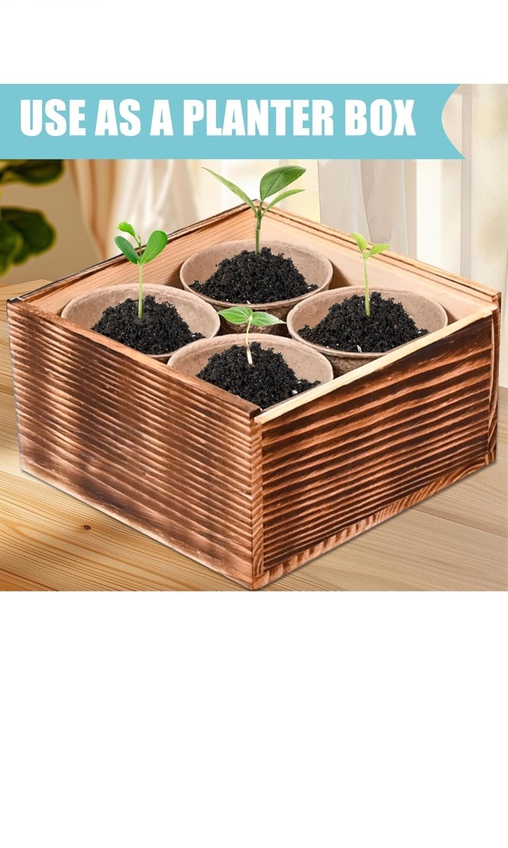 Seed Starter Kit Daisy Cornflower Sunflower Zinnia with Soil Pots Tools Markers