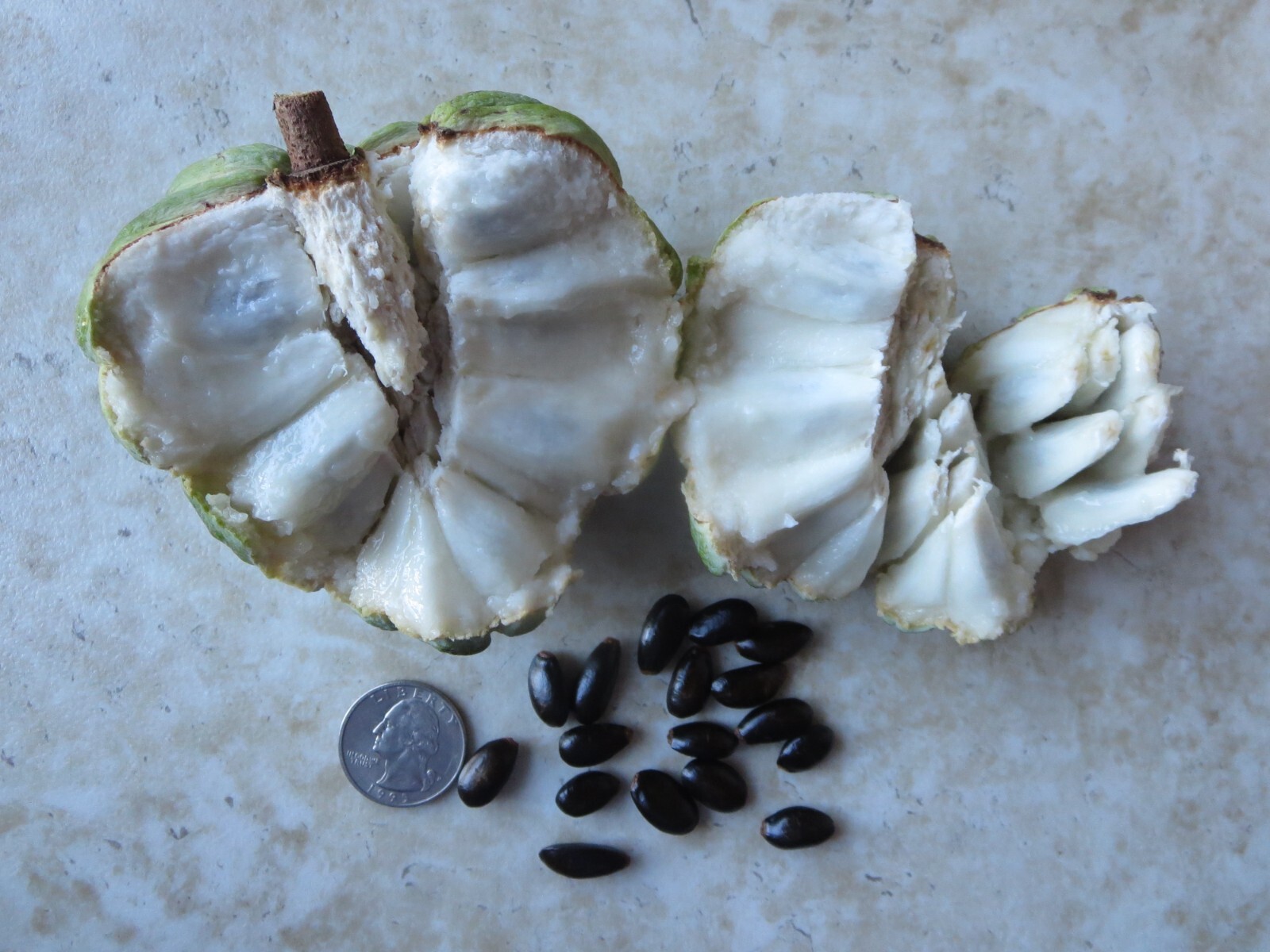 Sugar Apple Annona Squamosa Fruit Organic 30 Seeds Florida Grown Harvested 2023