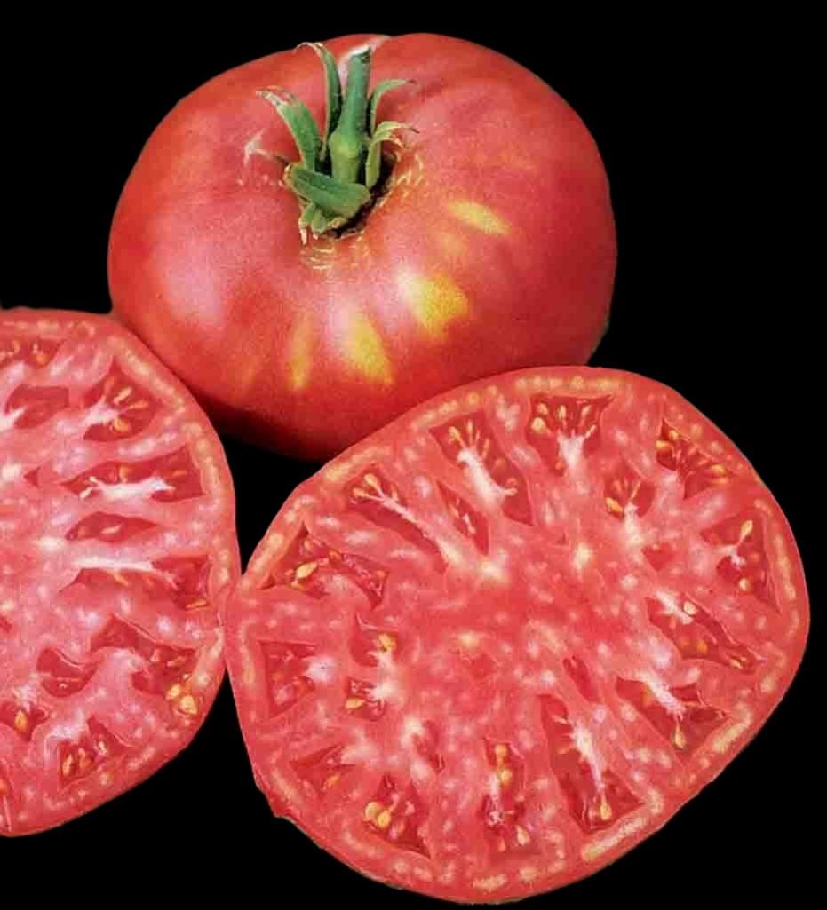 Pink Brandywine Tomato Organic, Heirloom. 30 Seeds Free Shipping!