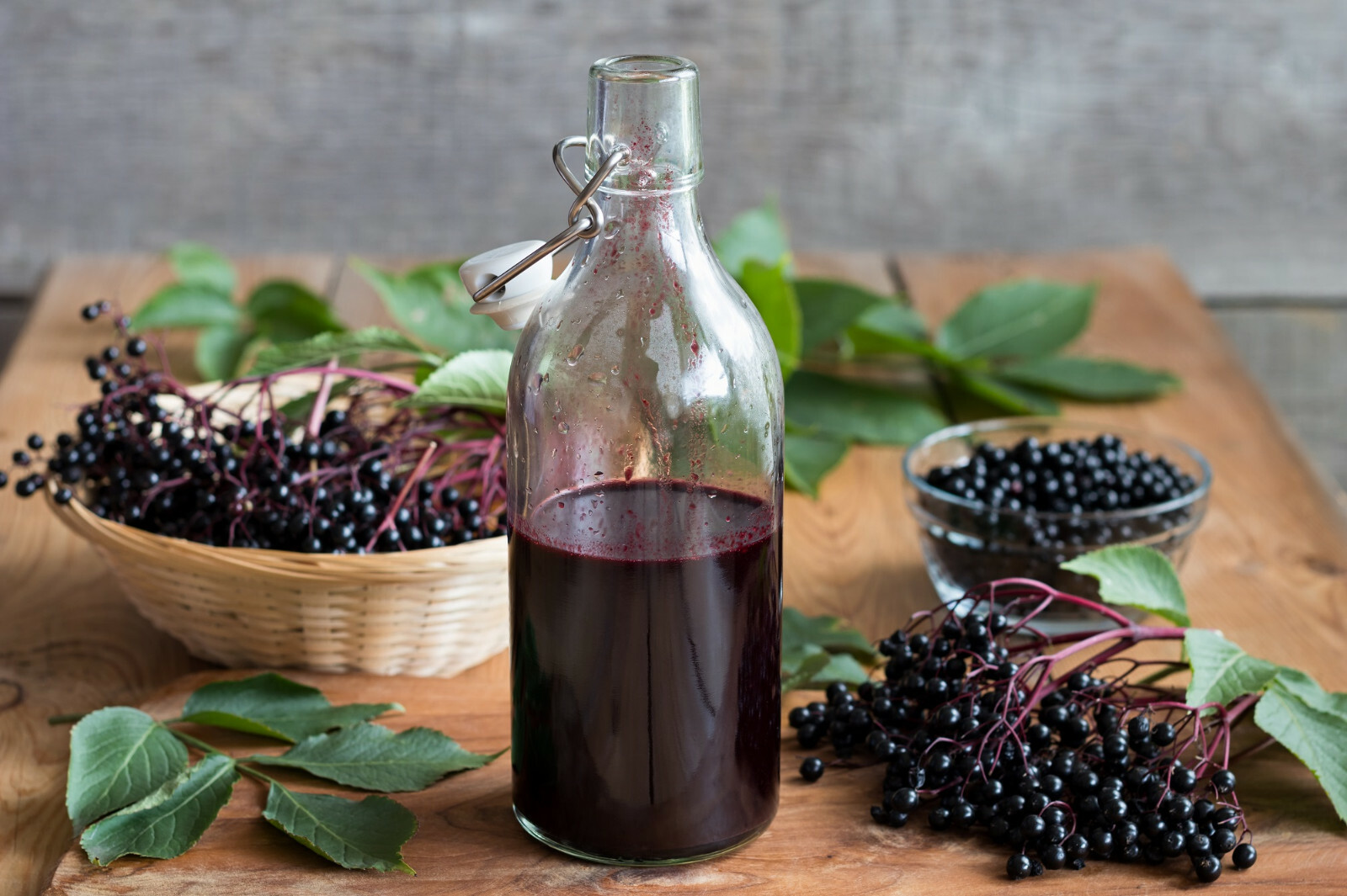 80 European Black Elderberry Seeds (Sambucus nigra), MEDICINAL TREE, USA Seller