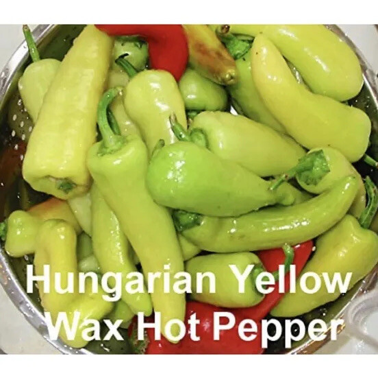 10 bags Asian Pepper Hot Mix (HOT) Vegetable Seeds NON-GMO Mixed 16 Types 100ct