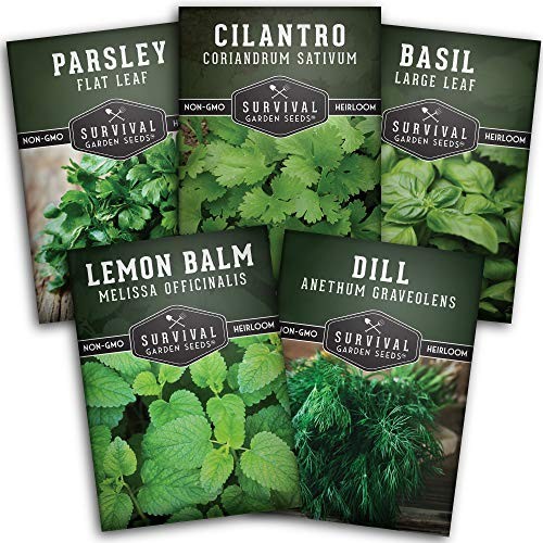 Easy to Grow Herb Seeds Variety Pack | 5 Heirloom Kitchen Herbs for Planting –
