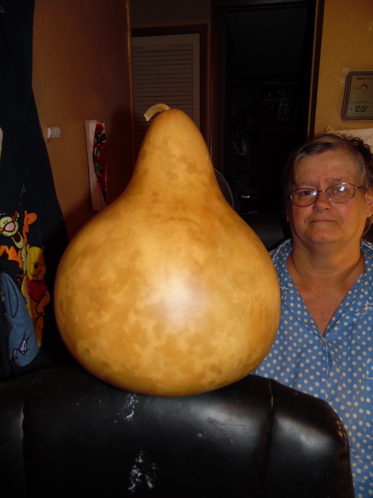 Huge Mix of Seeds From Large Gourds In Photo! 10 Large Seeds!