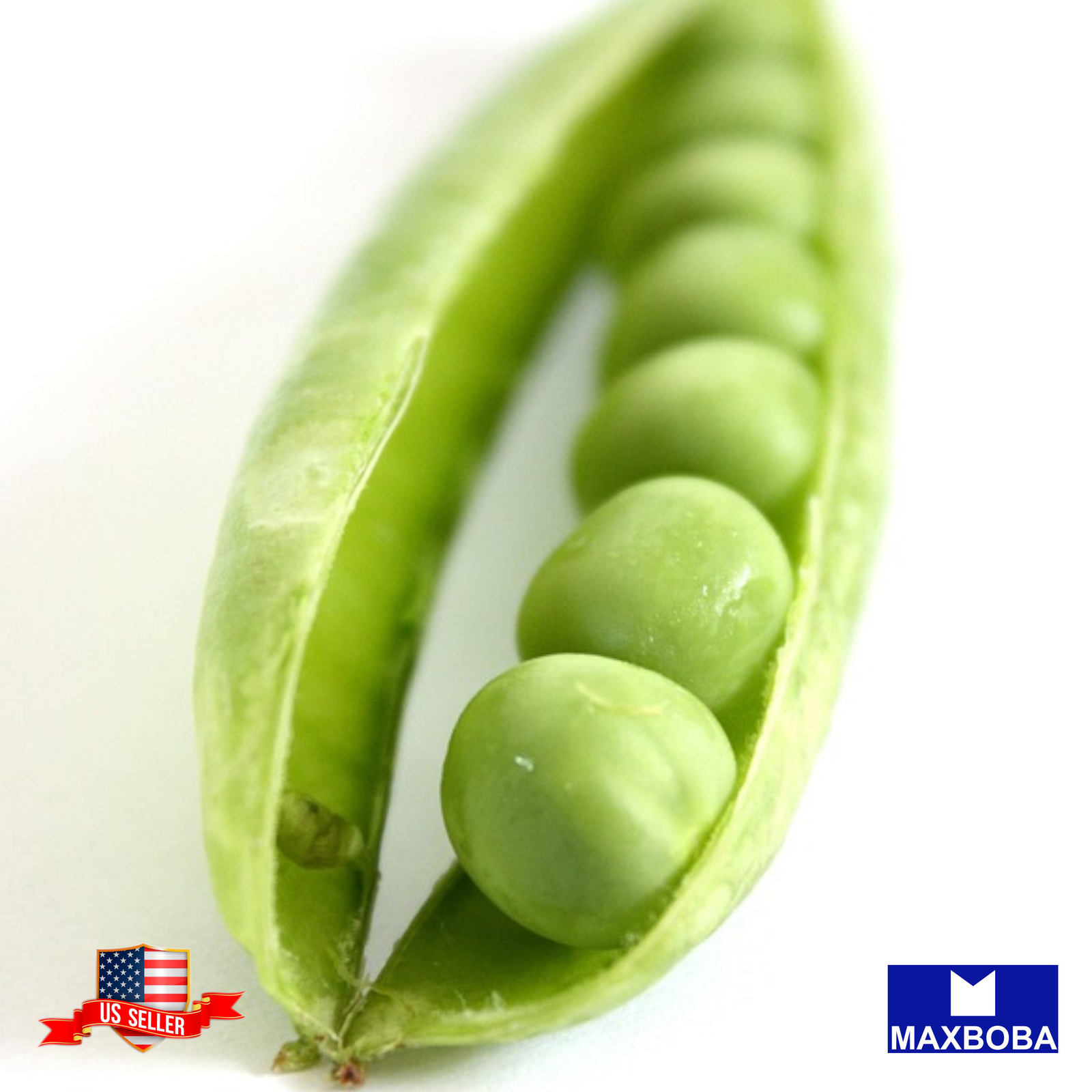 Pea Seeds Lincoln Non-GMO Heirloom Vegetable