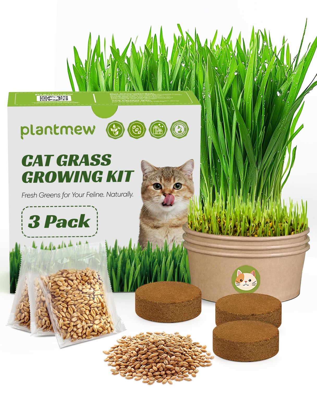 Cat Grass Kit for Indoor Cats, 3 Pack Fast Growing Cat Grass Kit with Eco-Fri…