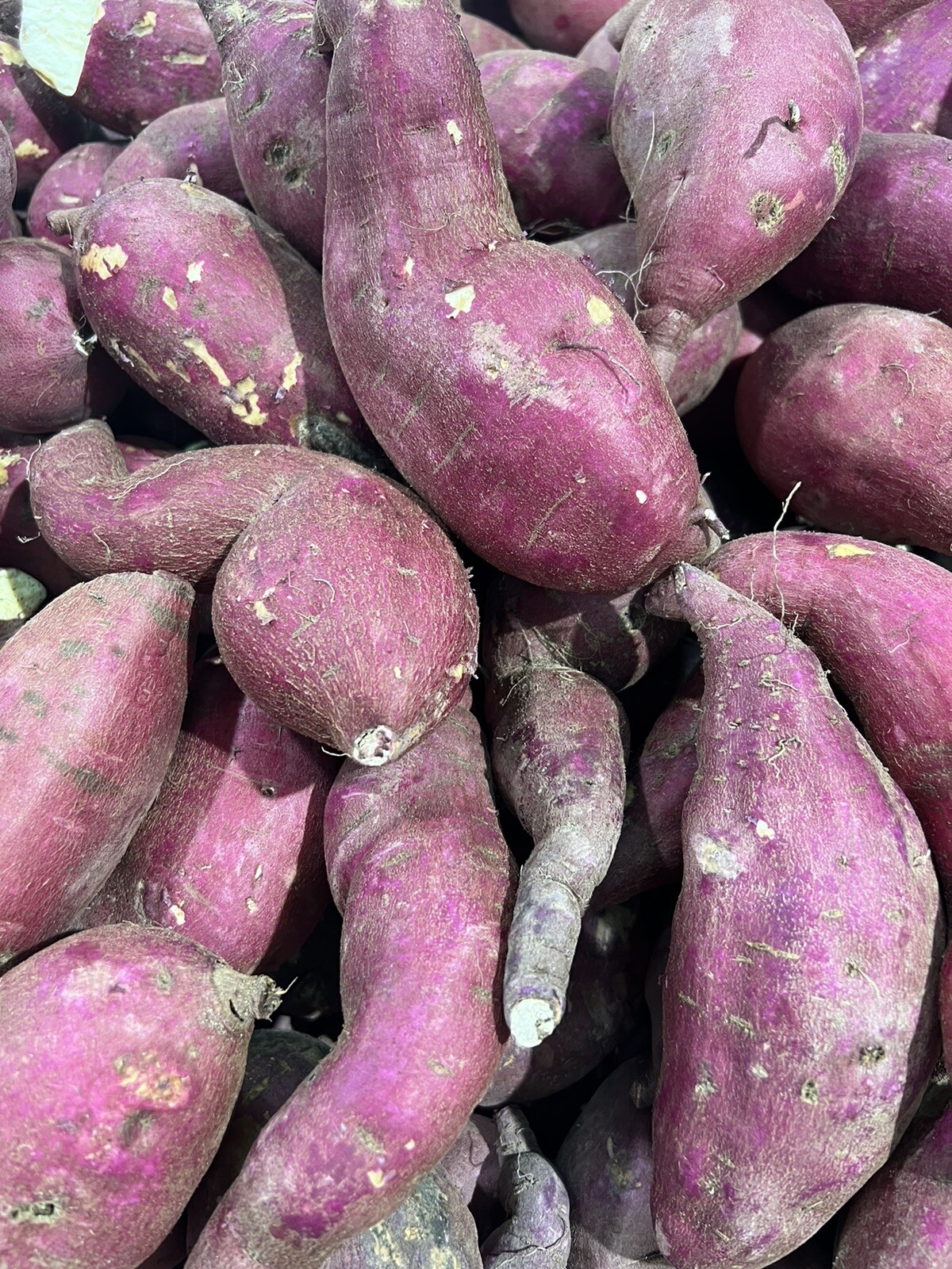 3 LBS Fresh Japanese Murasaki Sweet Potatoes Fresh Yam Root Free Shipping