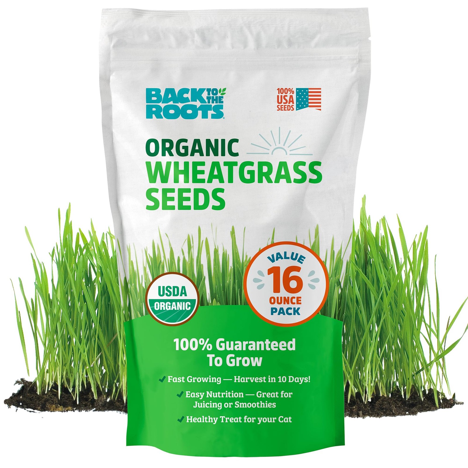 Back to the Roots 100% Organic Wheatgrass Seeds 1 Pound Non GMO Nutrient Dense