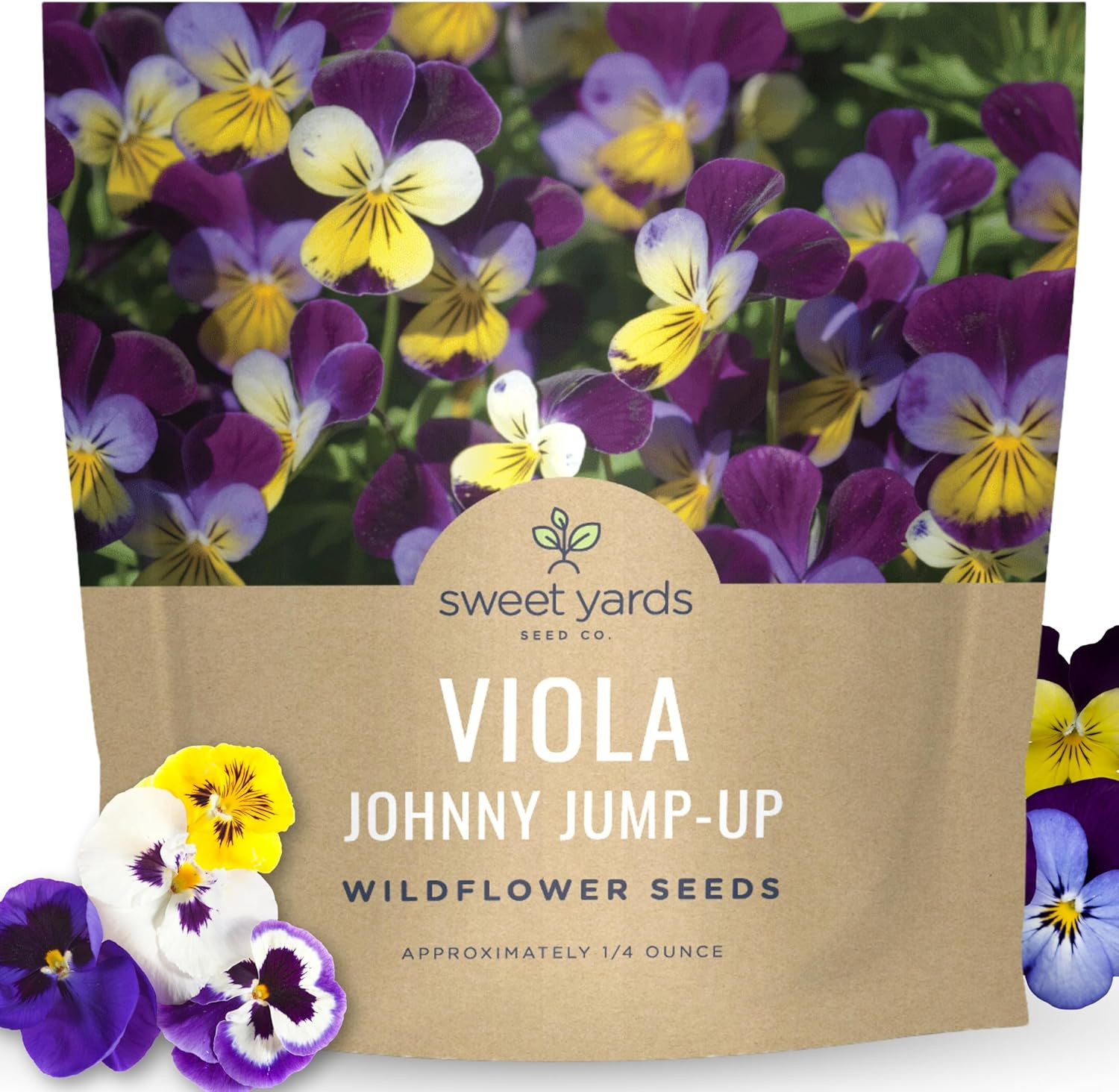 Viola – Johnny Jump-Up – Large 1/4 Ounce Packet – 10,000 Flower Seeds for Planti