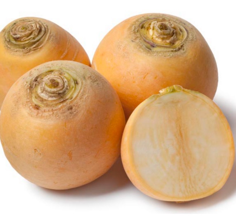 Round Golden Turnip Seed Gmo-free Heirloom FREE Shipping High Germination Seeds