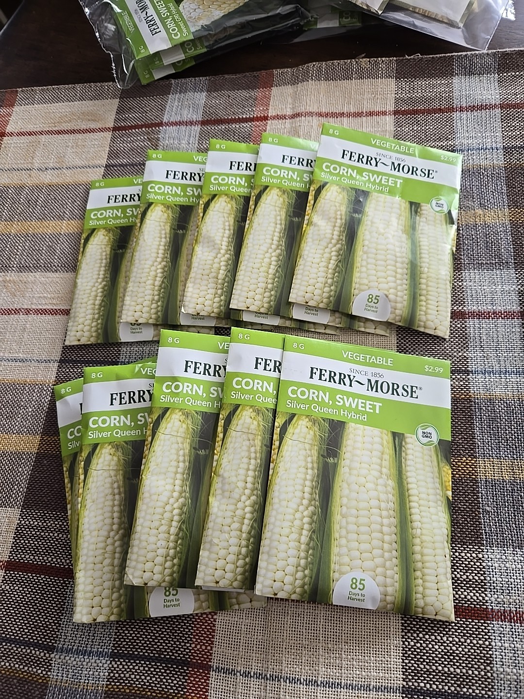 Ferry-Morse 2025 Seed Corn Silver Queen HYBIRD 8g
