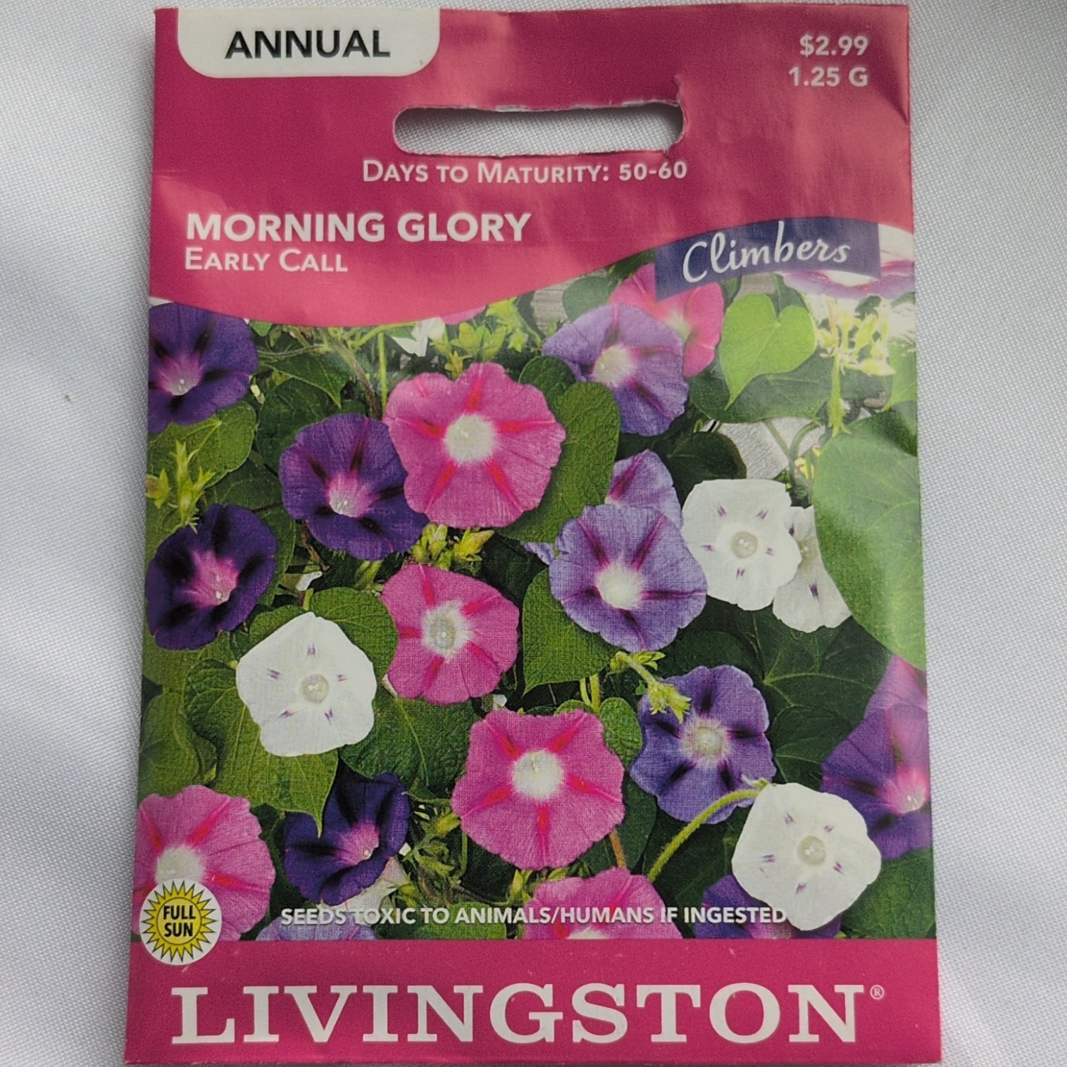 Livingston Morning Glory Early Call Annual Bee Friendly Seeds Y2575