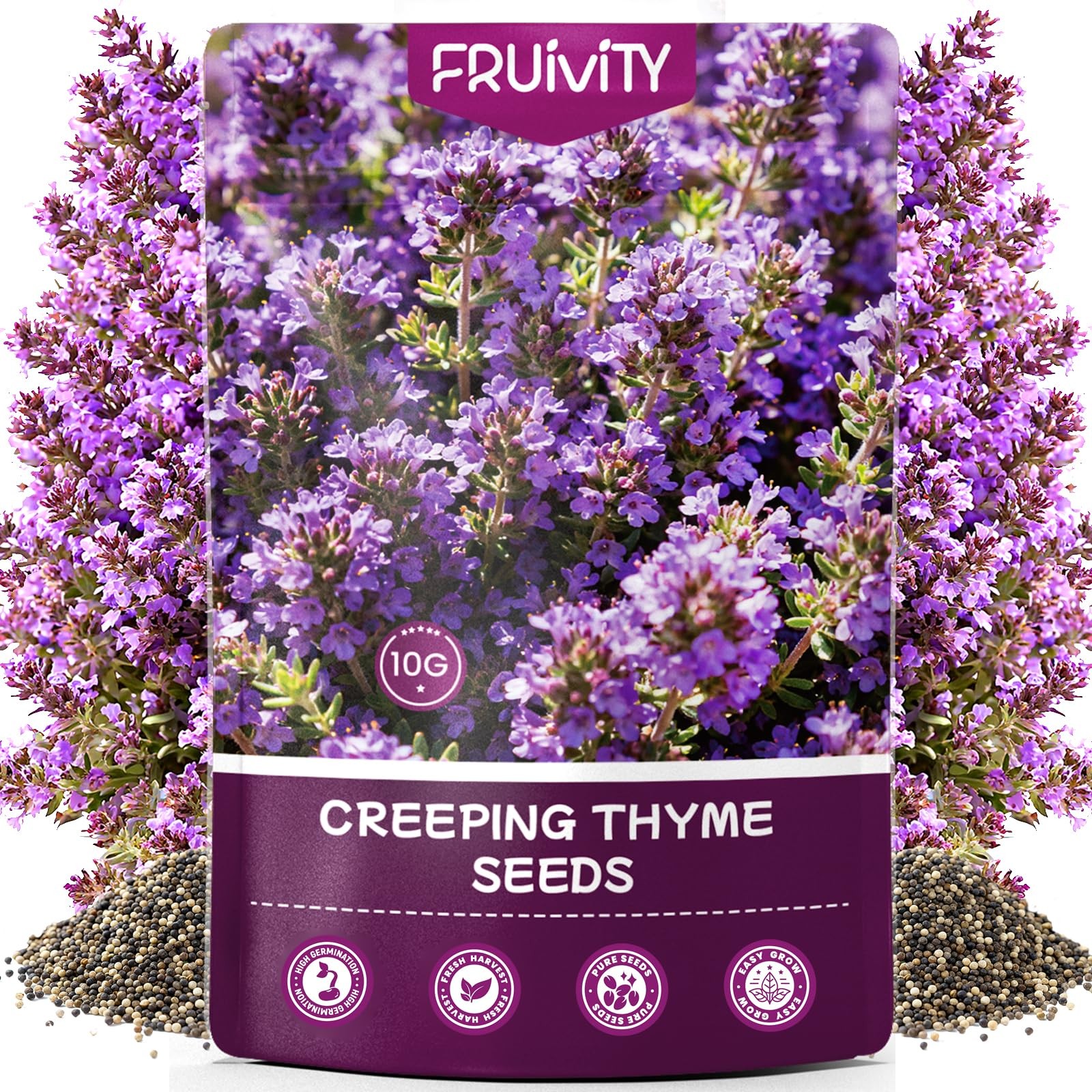 Creeping Thyme Seeds – 20,000+ Heirloom Perennial Ground Cover for Gardens