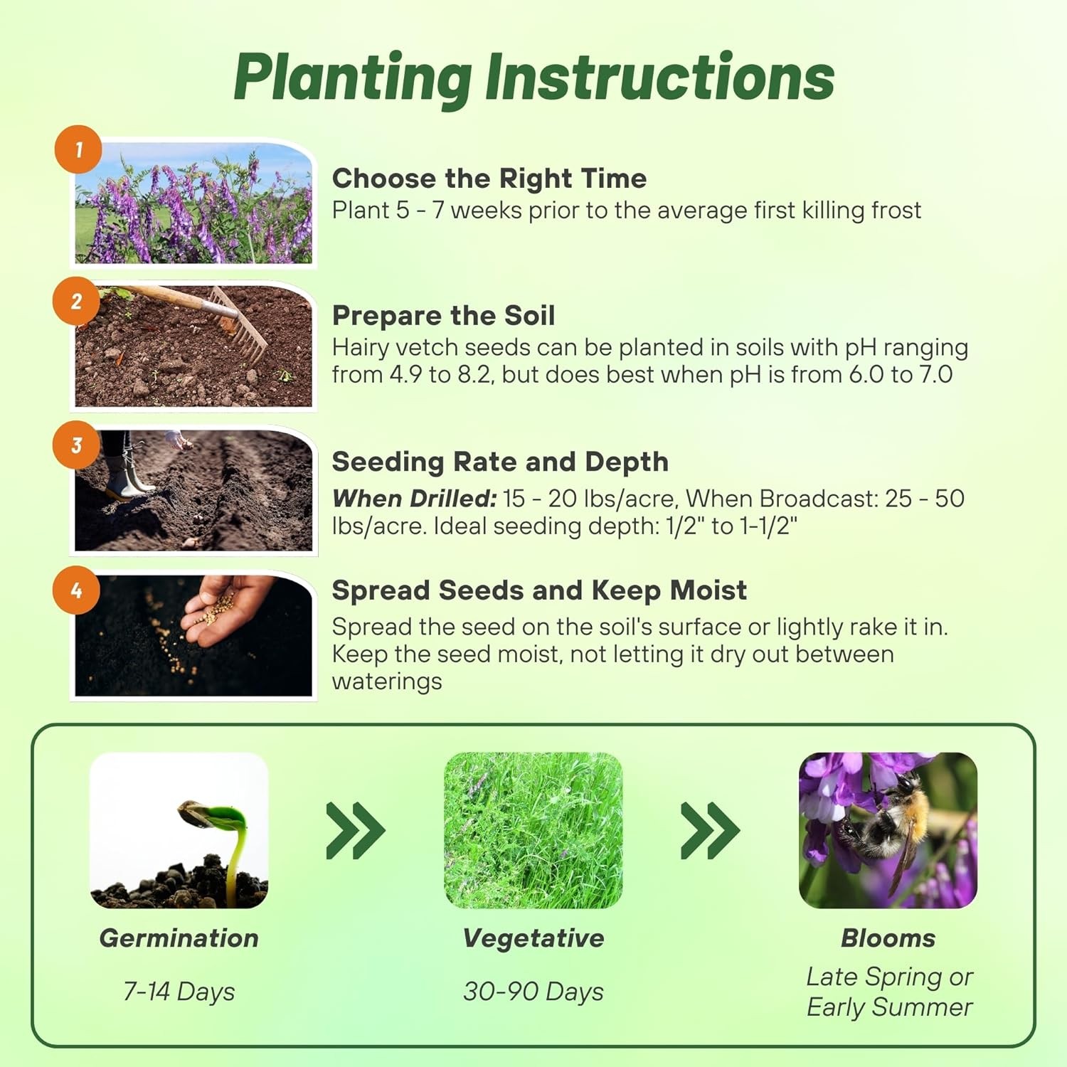 1 LB – Inoculated Hairy Vetch Seeds – Bulk Legume & Cover Crop Seed For Planting