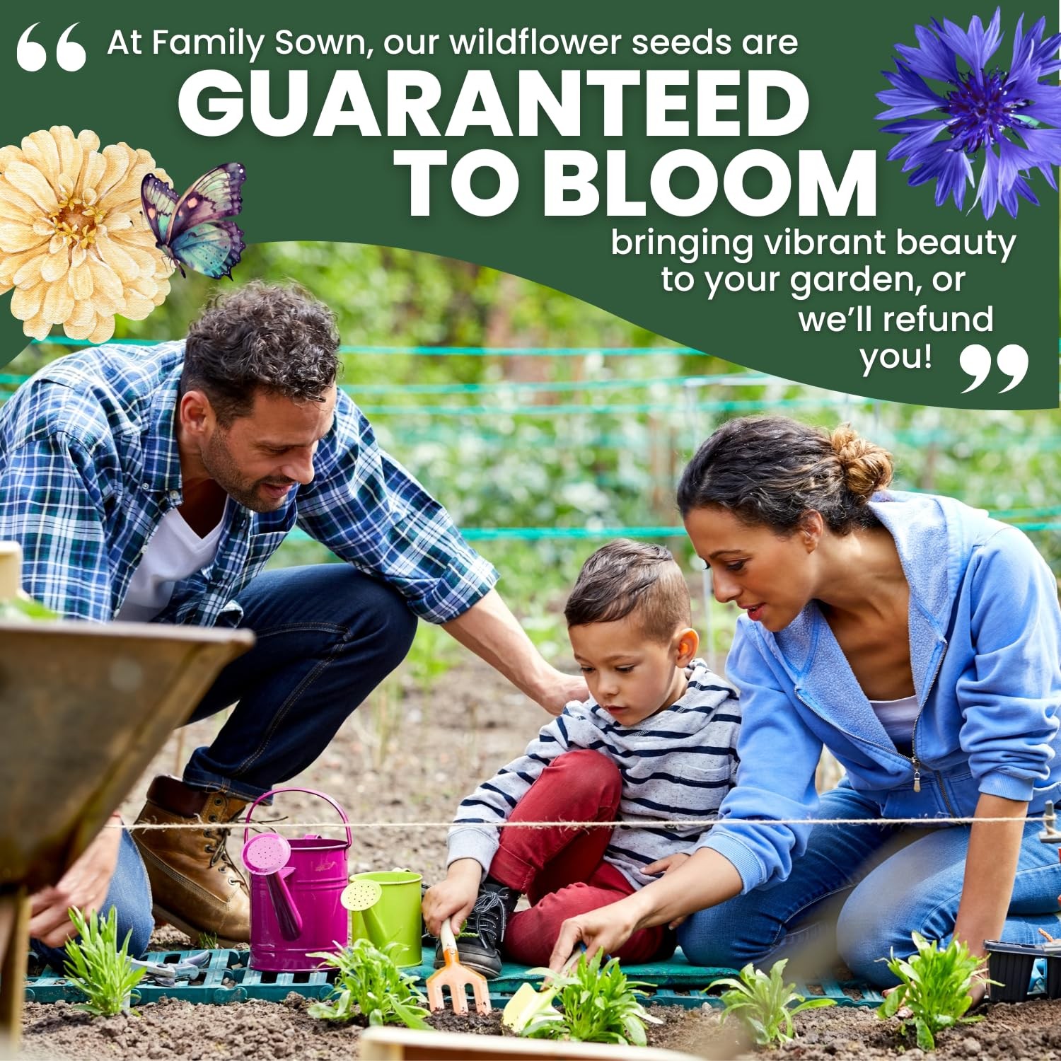 Blue Cornflower – 4,000 Seeds for Planting – 2026 Season – 1 Ounce Pouch