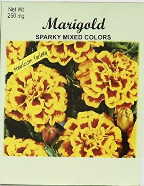 Set of 50 Non-GMO Marigold Sparky Mix Flower Seed Packets – Heirloom Quality
