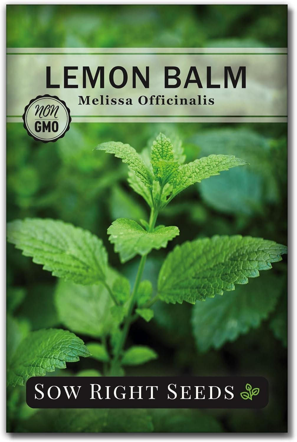 Non-GMO Lemon Balm Seeds – Heirloom for Easy Indoor/Outdoor Gardening
