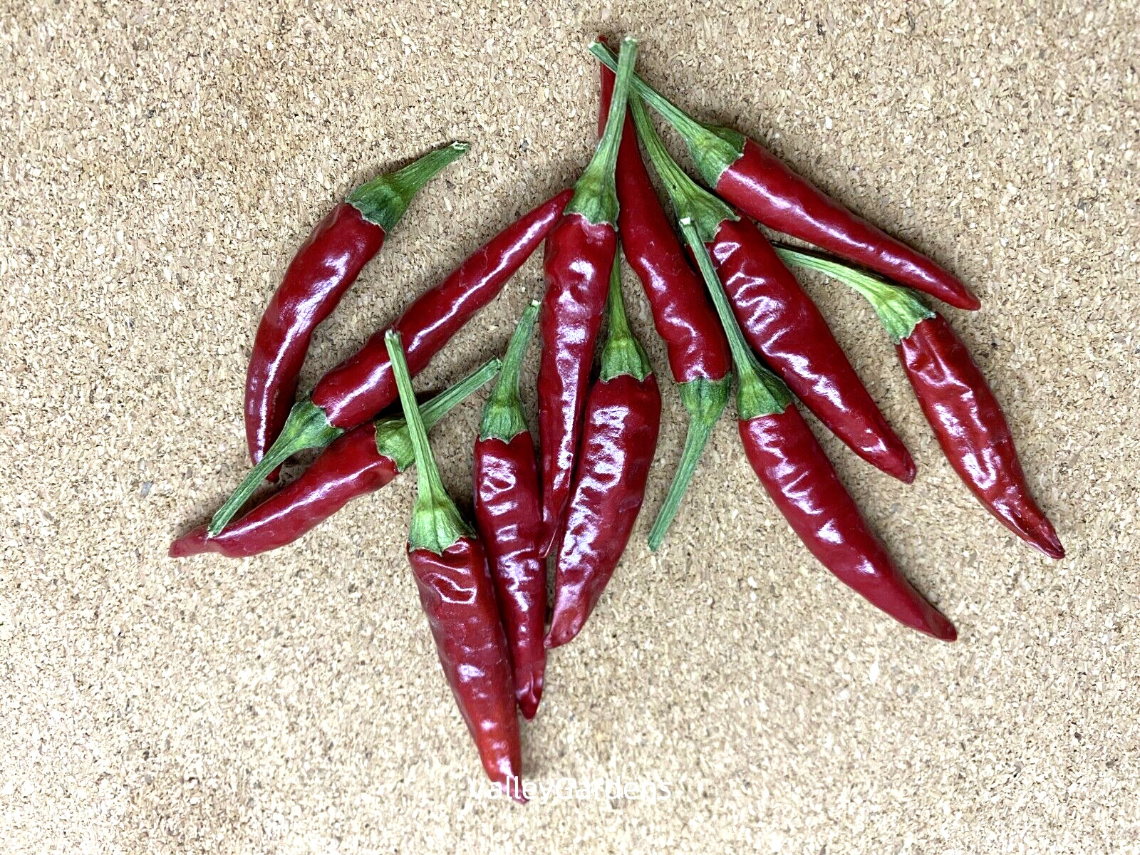 🌱 Heirloom Xiaomi/ Xiao Mi La Hot Chili Pepper 20 Seeds