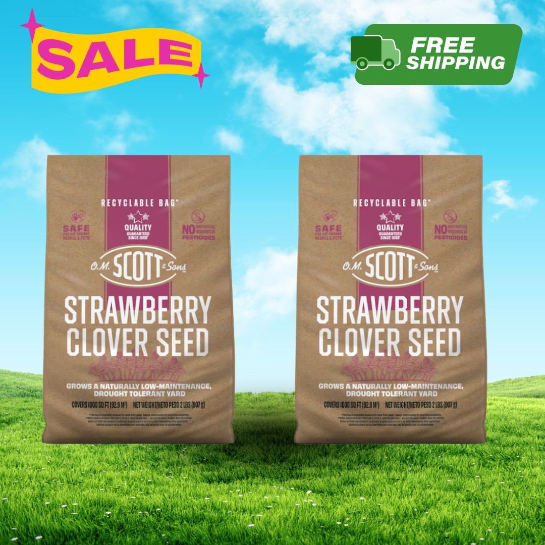 [FASH SALE] Scotts O.M. Scott & Sons 2 lb Strawberry Clover Grass Seed (2 Pack)