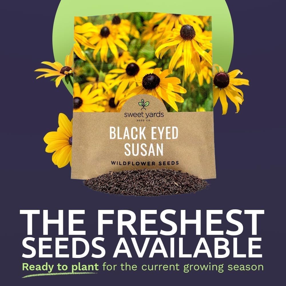 1 Oz Black Eyed Susan Seeds – Vibrant Yellow Wildflowers for Butterfly Gardens