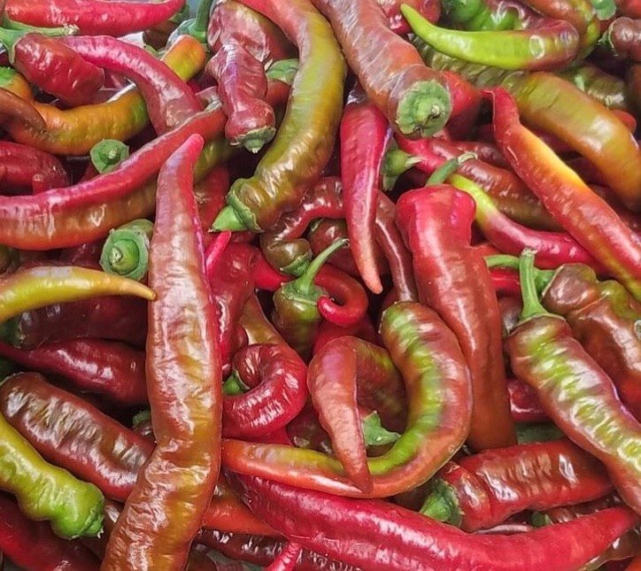 Sweet Pepper Collection | Seeds