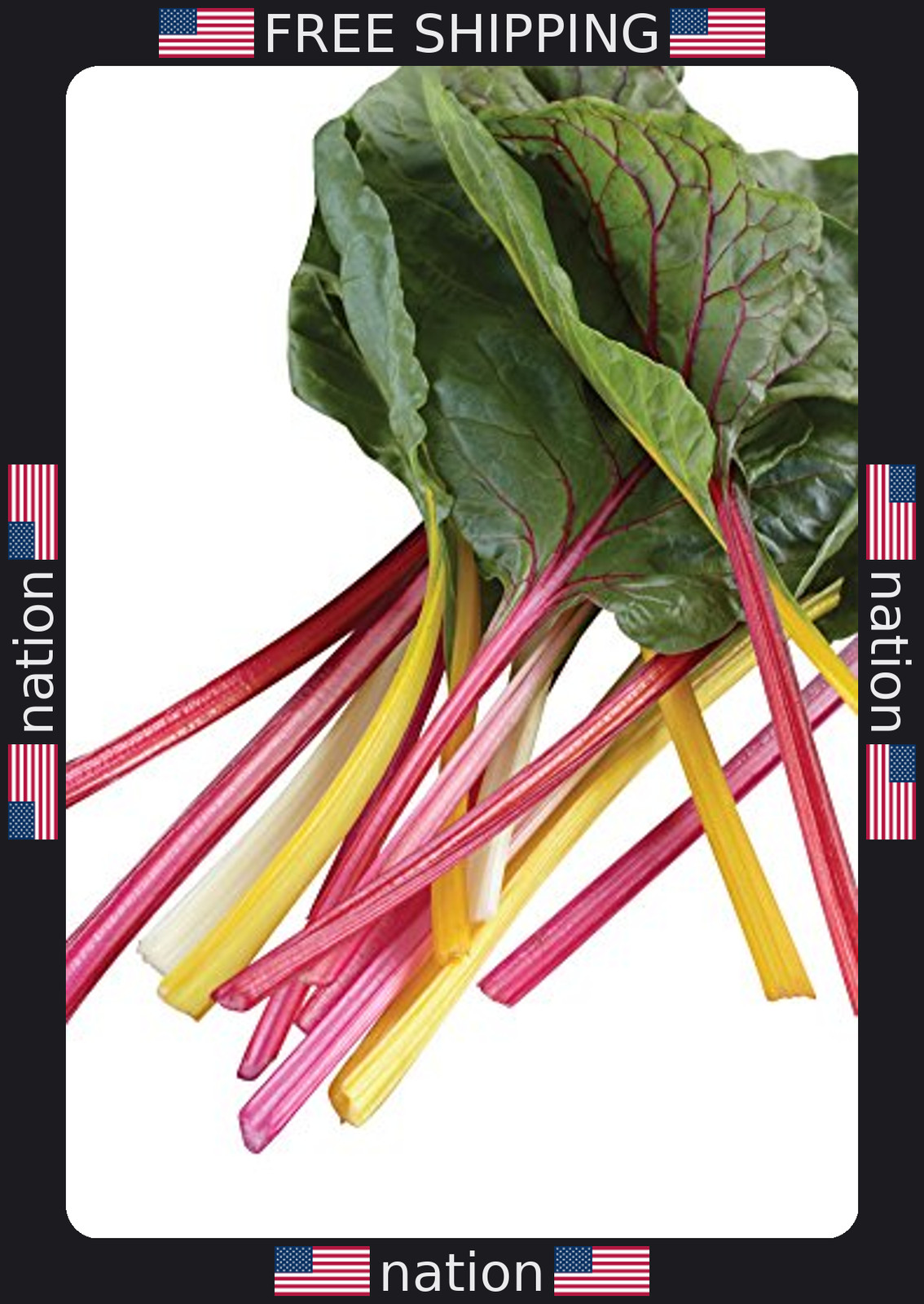 Burpee Bright Lights Swiss Chard Seeds – 100 Premium Seeds for Gardening