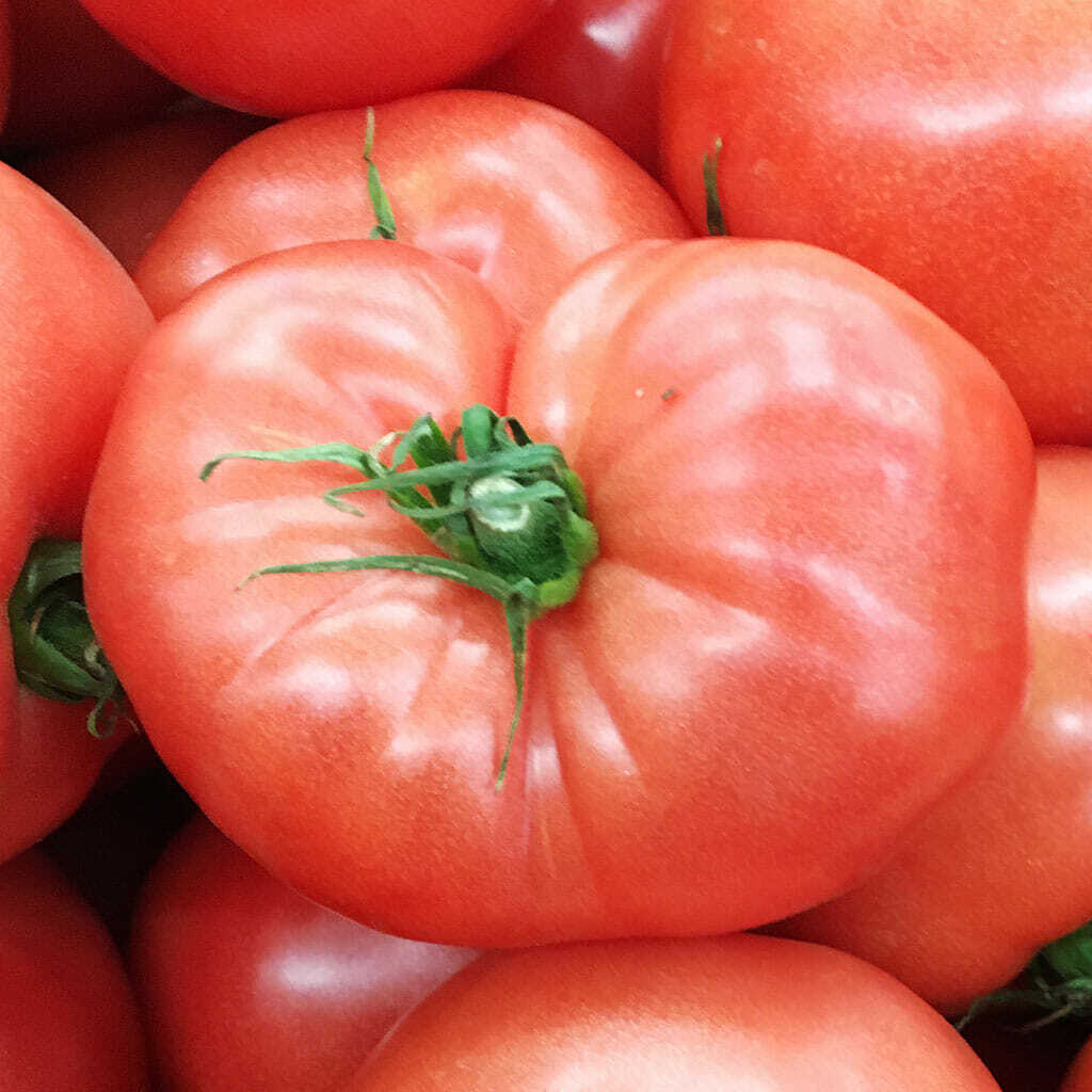 German Johnson Tomato Seeds 50 Ct Vegetable HEIRLOOM NON-GMO USA FREE SHIPPING
