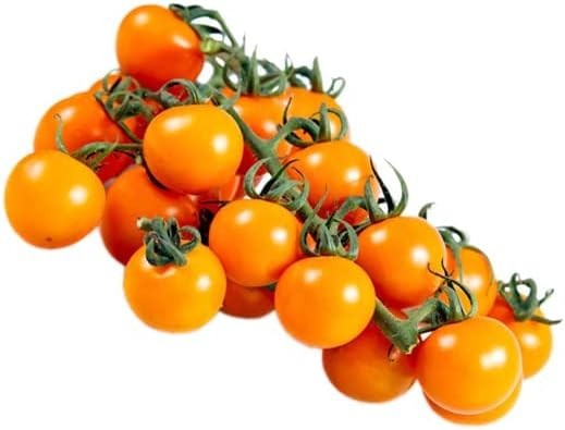 15 Sungold Tomato Seeds / Sun Gold Tomato Seeds (F1) | Non-GMO / FREE S/H