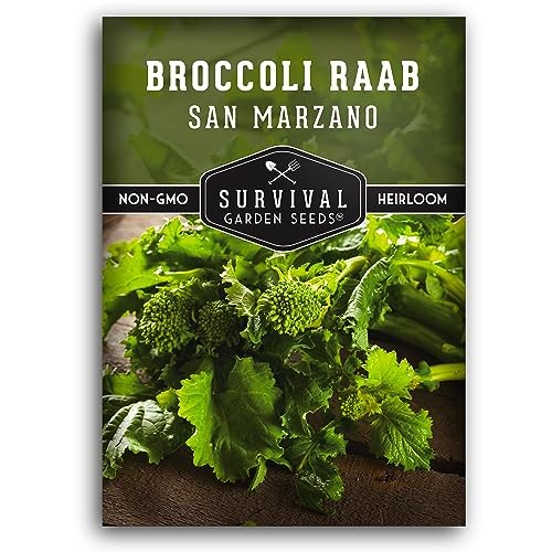 San Marzano Raab Broccoli Rabe Seeds for Planting – Italian Heirloom Rapini 1