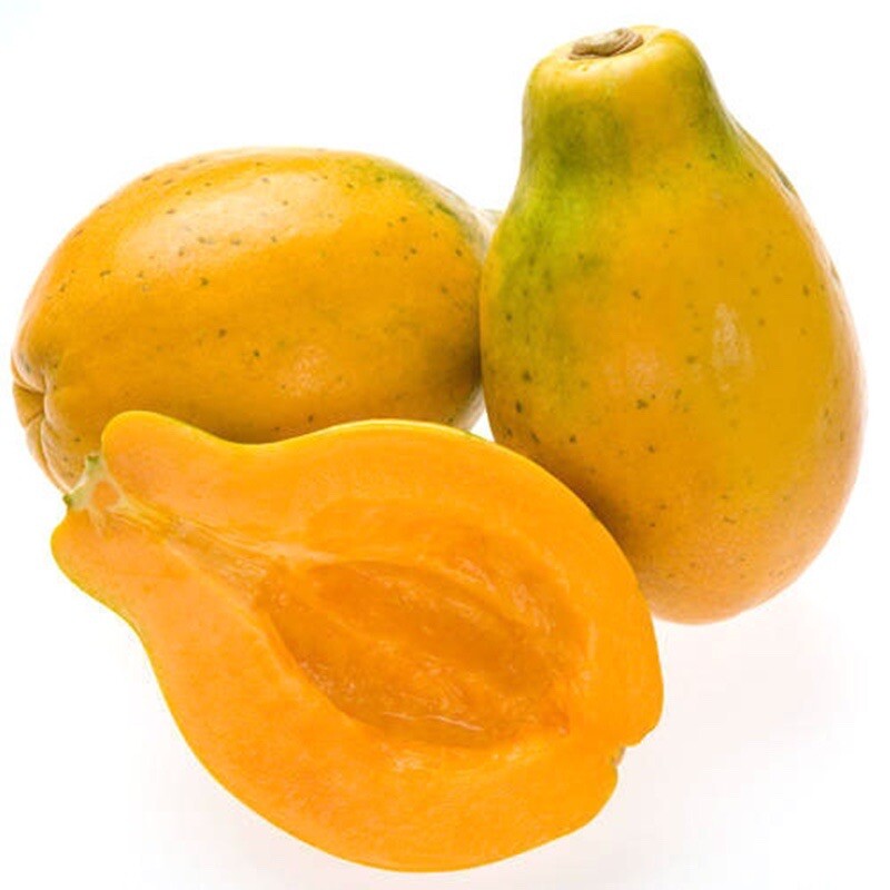 So sweet Hawaii Yellow Papaya – 60 seeds 2023 – USA